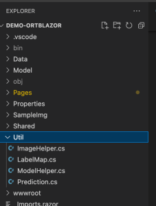 Carpetas Onnx Runtime Blazor