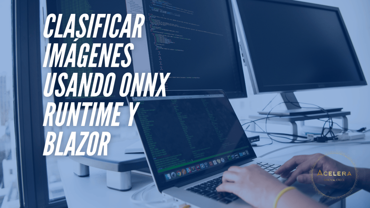 Machine Learning | Clasificar imágenes usando ONNX Runtime y Blazor ...